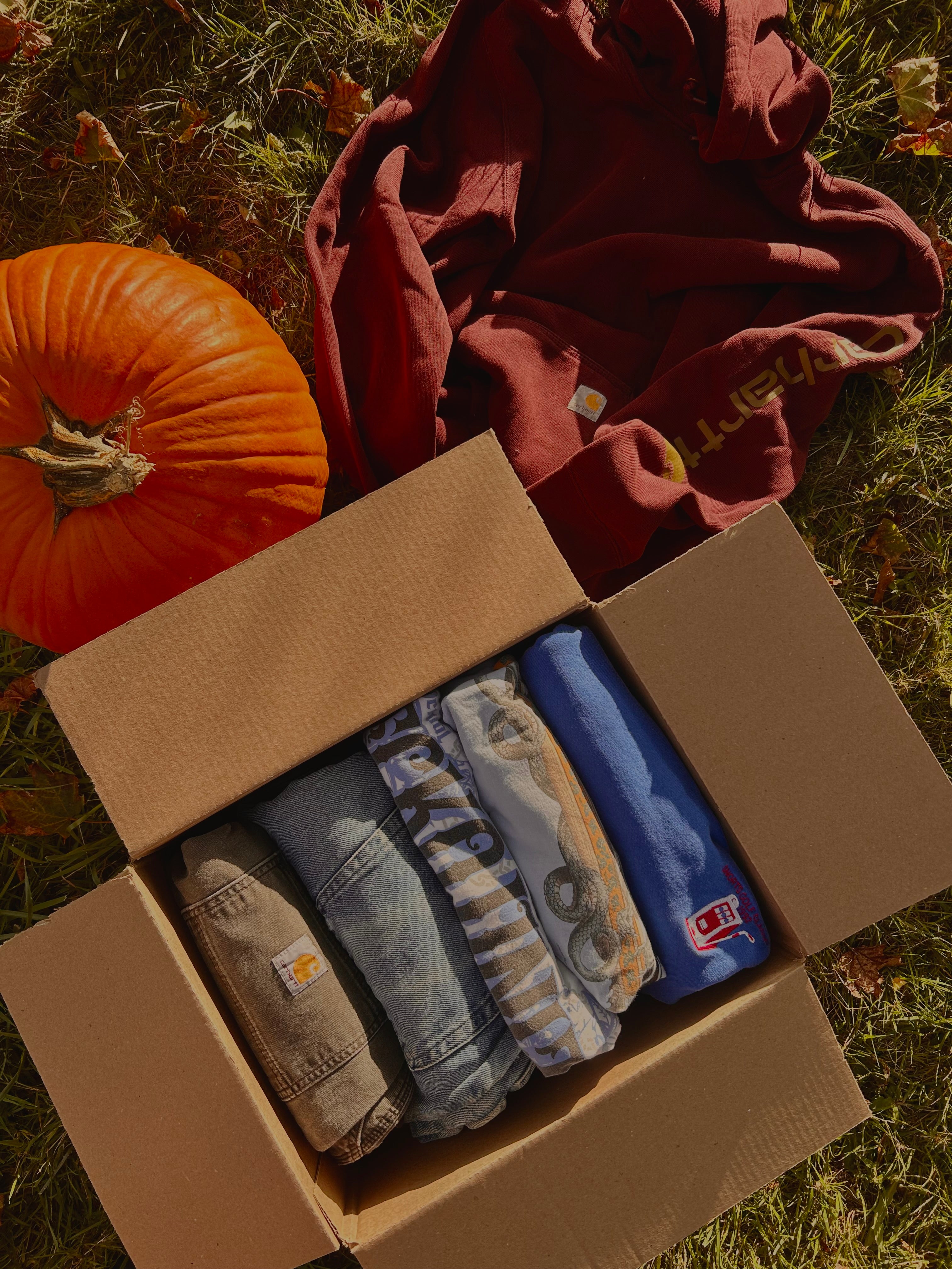 The Harvest Bundle 🌾