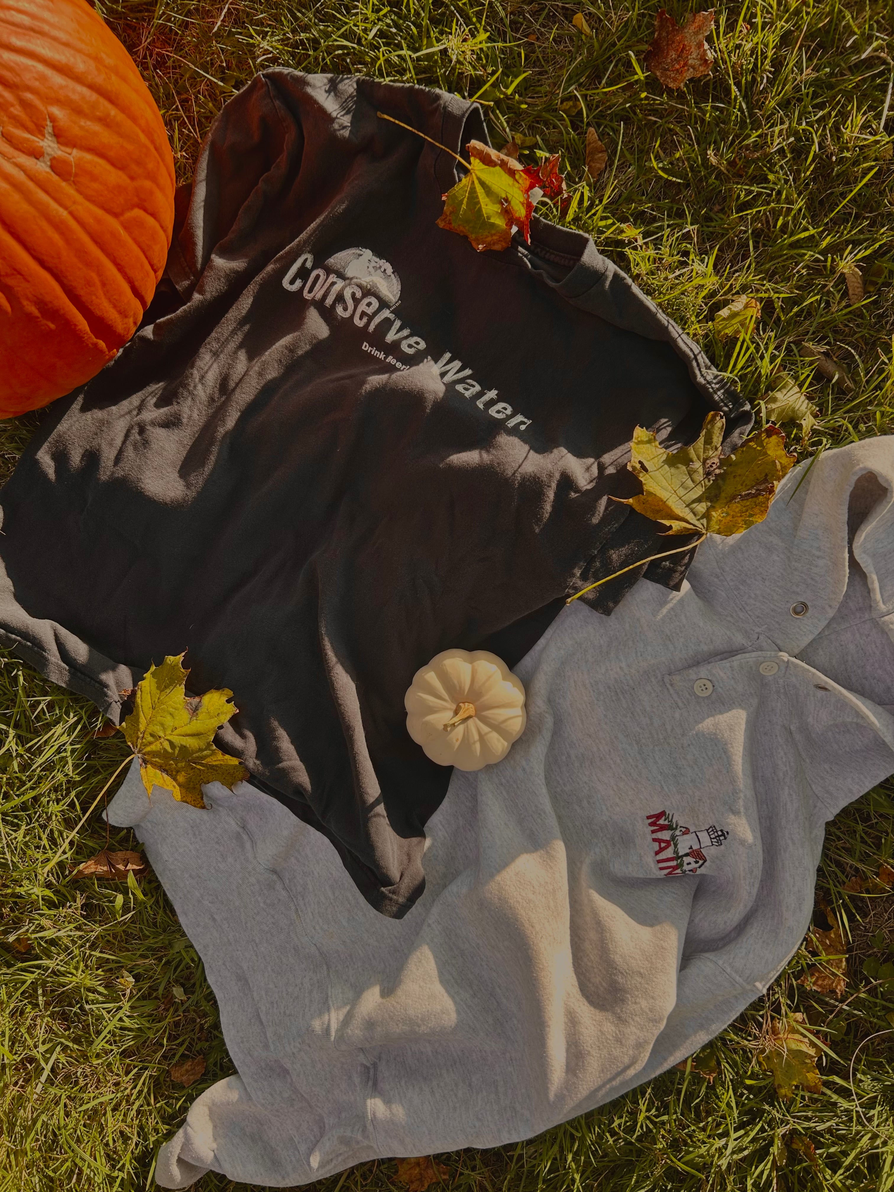 Pumpkin Patch Bundle  🎃